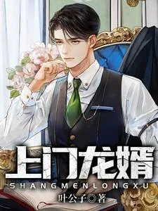 《上门龙婿》小说封面