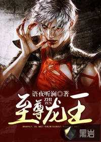 《至尊龙王》小说封面