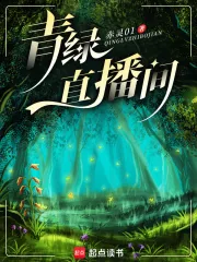 《弹幕追凶》小说封面