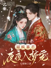 《惨死生子夜，逼疯暴君夜夜入梦宠》小说封面