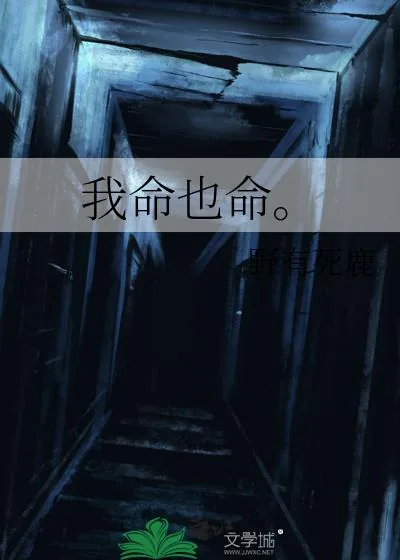 《我命也命。》小说封面