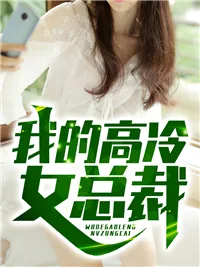 《我的冰山女总裁》小说封面