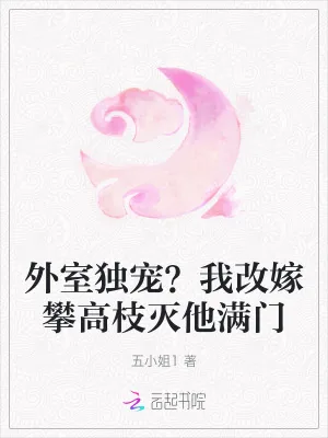 《外室独宠？我改嫁攀高枝灭他满门》小说封面