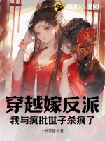 《穿越嫁反派，我与疯批世子杀疯了》小说封面