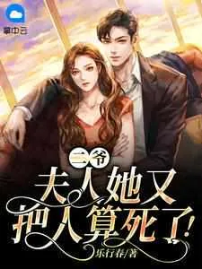 《苏乔沈修瑾》小说封面
