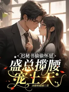 《迟秘书偷偷怀崽，盛总揽腰宠上天》小说封面