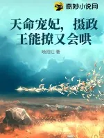 《天命宠妃，摄政王能撩又会哄》小说封面