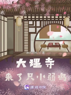 《大理寺来了只小弱鸡》小说封面