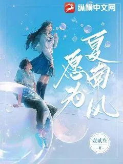 《愿为夏南风》小说封面