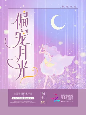 《偏宠月光》小说封面