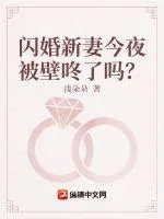 《闪婚新妻今夜被壁咚了吗？》小说封面