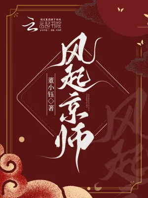《风起京师》小说封面