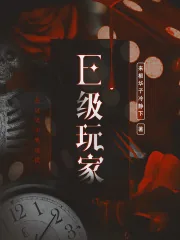 《E级玩家》小说封面