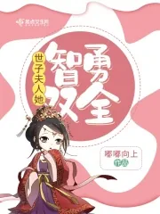 《世子夫人她智勇双全》小说封面