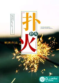 《扑火》小说封面