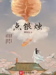 《点银烛》小说封面