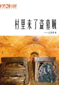 《村里来了盗墓贼》小说封面