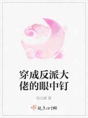 《穿成反派大佬的眼中钉》小说封面
