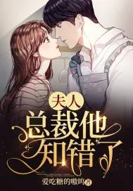 《夫人，总裁他知错了》小说封面