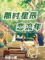 《那时星辰恋流年》小说封面