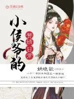 《小侯爷的赘婿日常》小说封面