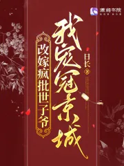 《改嫁疯批世子爷,我宠冠京城》小说封面