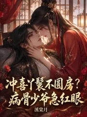 《冲喜丫鬟不圆房?病骨少爷急红眼》小说封面