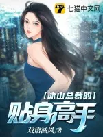 《冰山总裁的贴身高手》小说封面