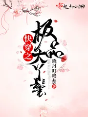 《快穿之极品大丫鬟》小说封面