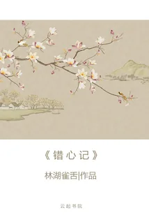 《错心记》小说封面