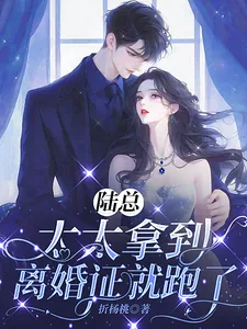 《陆总,太太拿到离婚证就跑了》小说封面