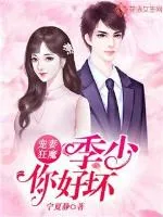 《宠妻狂魔：季少你好坏》小说封面