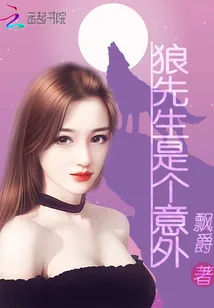 《狼先生是个意外》小说封面