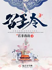 《召王令》小说封面