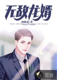 《无敌龙婿》小说封面