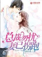 《总裁勿扰,妻已拐跑》小说封面