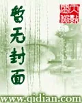 《至高悬赏》小说封面