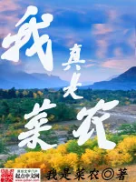 《我真是菜农》小说封面