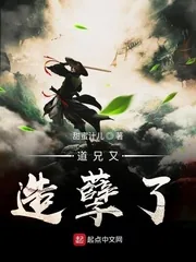 《道兄又造孽了》小说封面